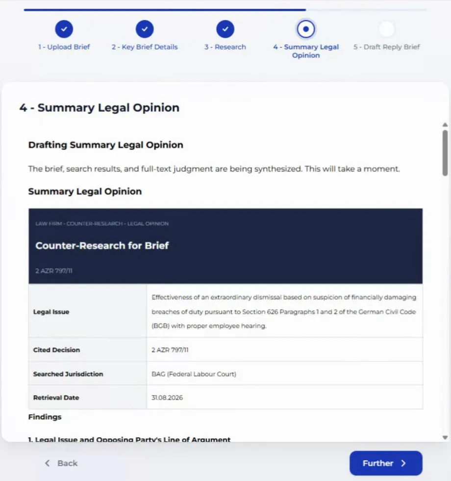 Summary legal opinion result showing the header table and findings